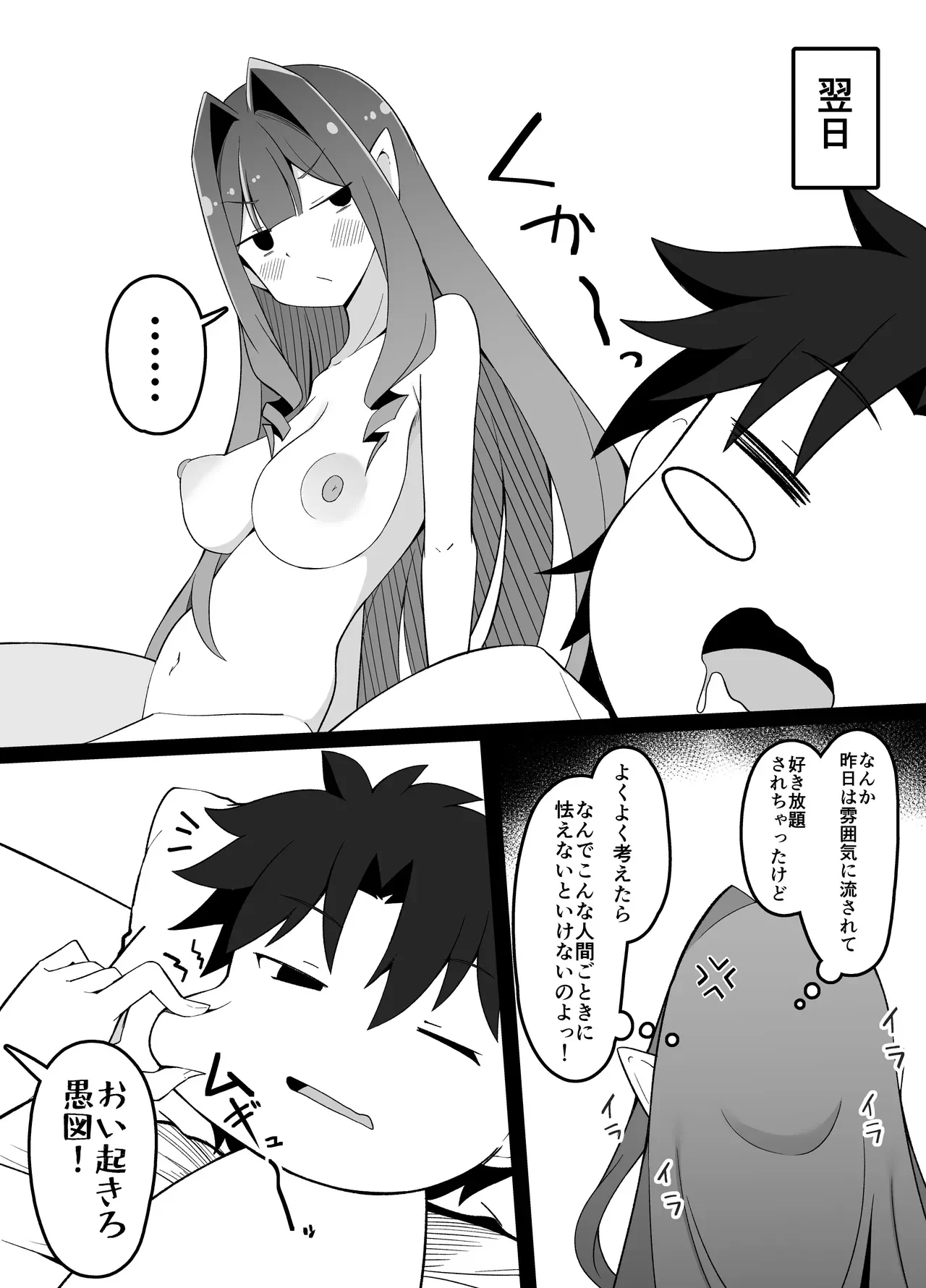 令呪の無いマスターに喧嘩を売ってしまうバーヴァンシーさん — page 11