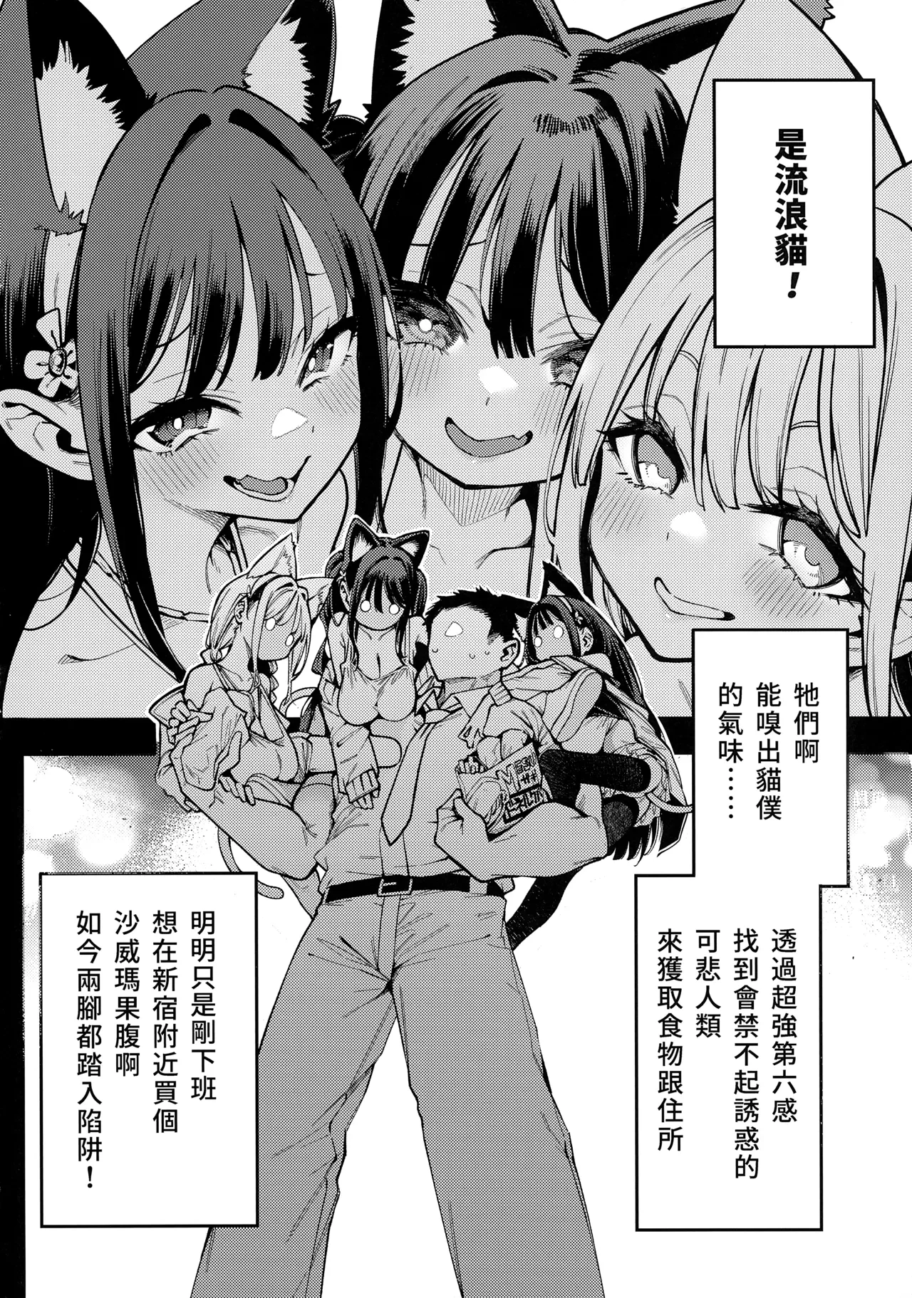 今天開始在家養貓咪 — page 3