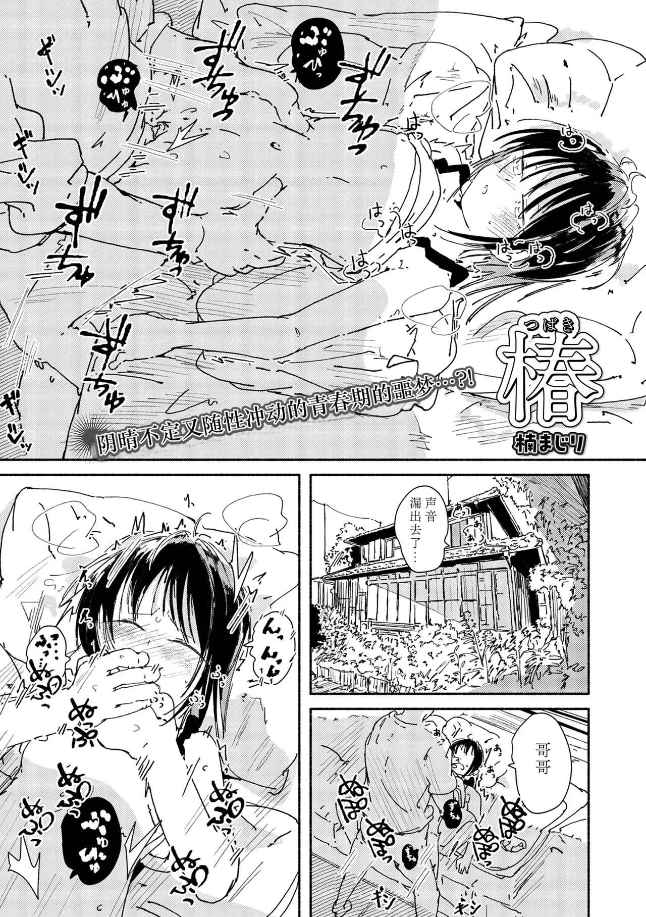椿（山茶花） — page 2