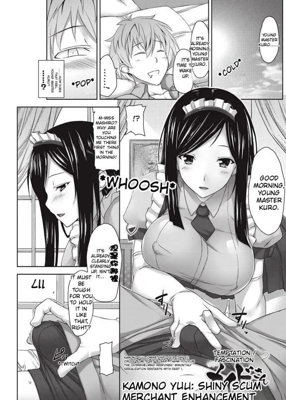 The Alluring and Enchanting Maid
