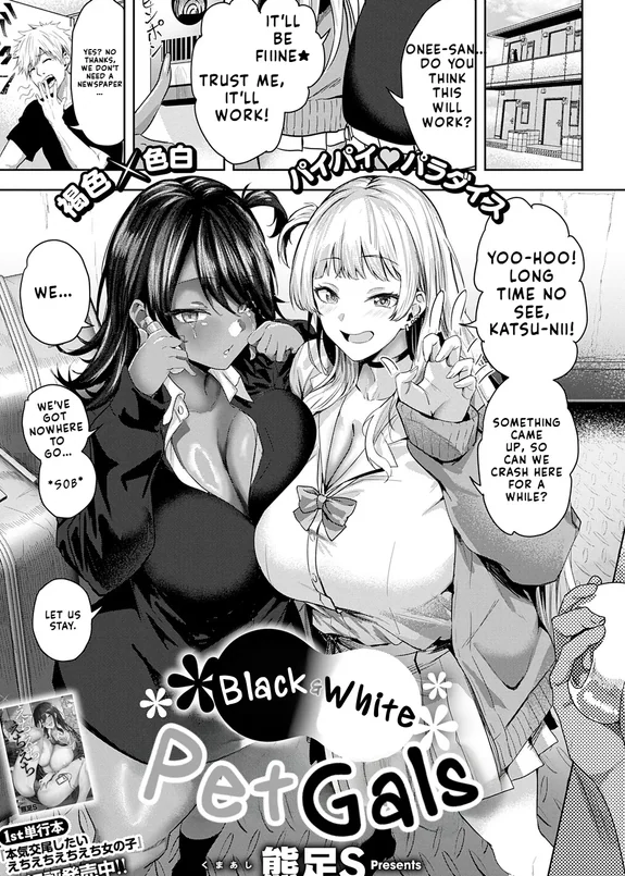 Black and White Pet Gals